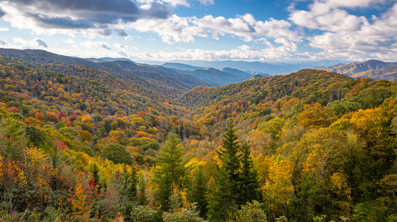 Great Smoky Mountains Park, Tennessee