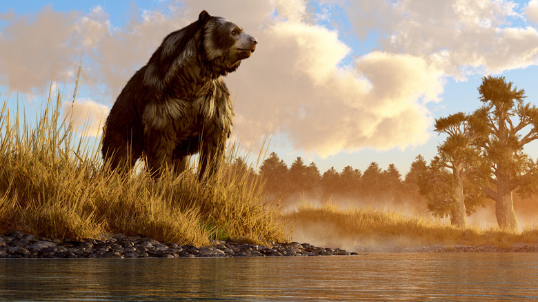 illustration of short-faced bear