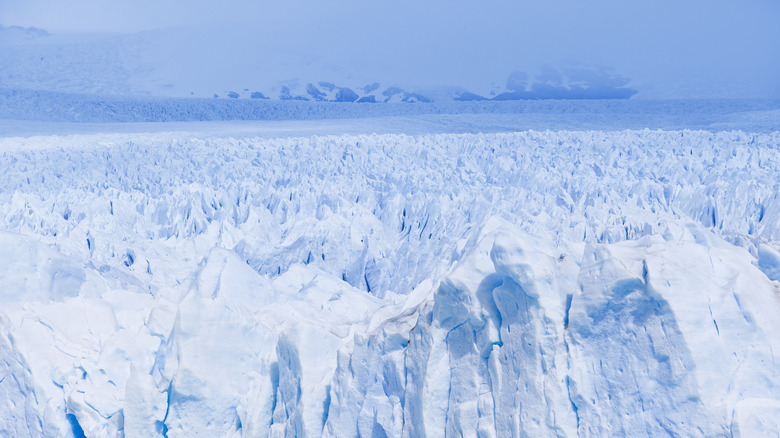 field of ice with glaciers