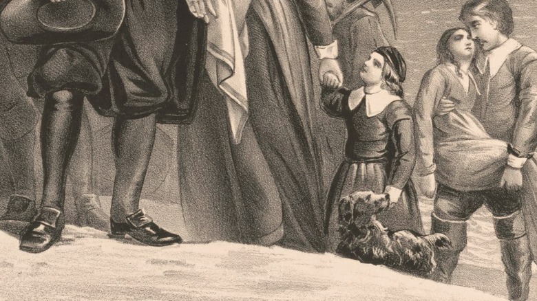 A dog with puritains