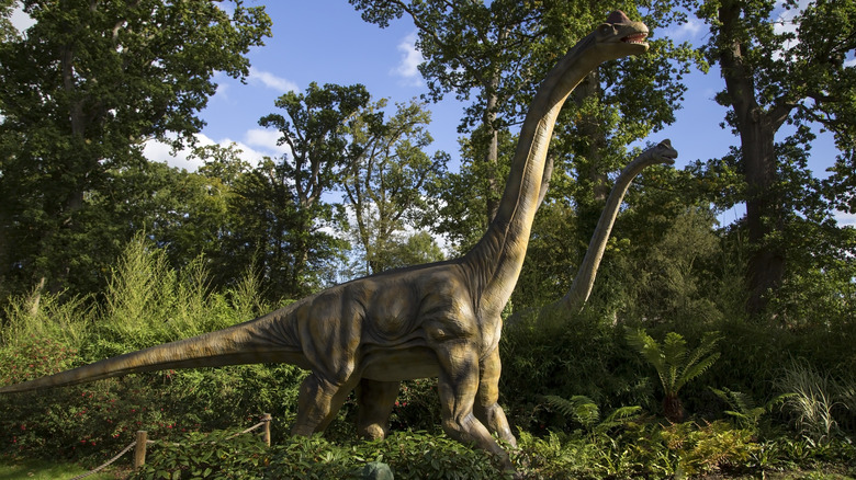 A pair of sauropods