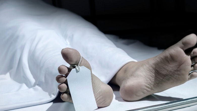 corpse covered with sheet