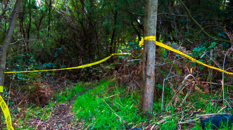 crime scene with police tape 