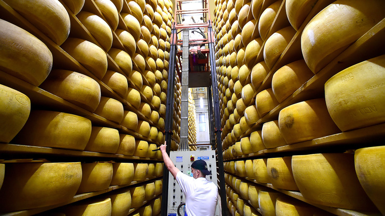 parmesan warehouse