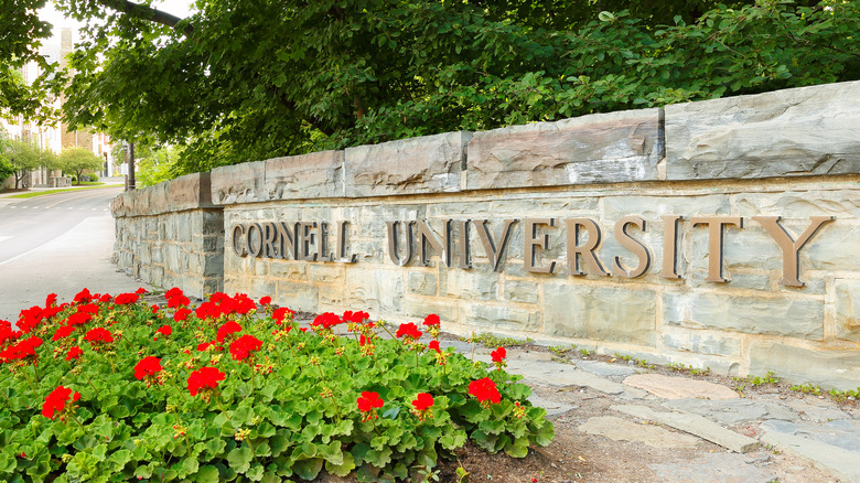 Entrance sign of Cornell University with red flowers