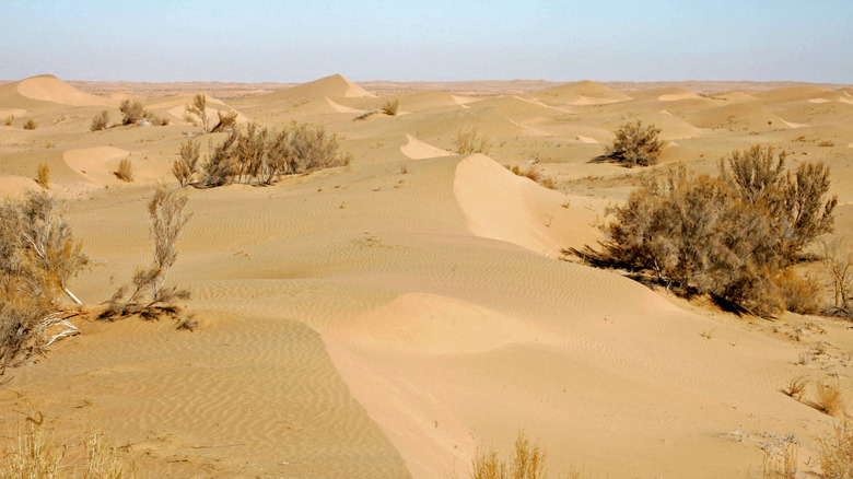 Desert in Minqin county
