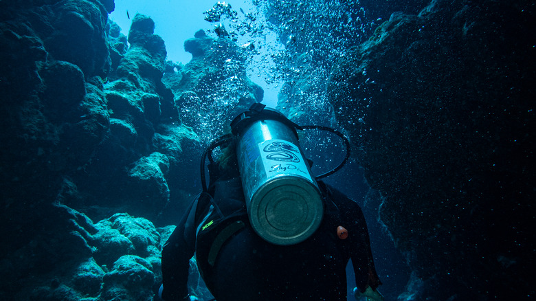 diver in Dahab