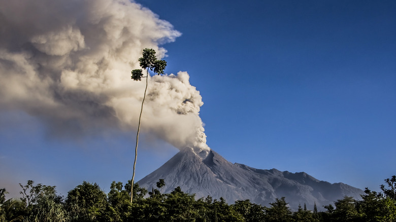 Mount Merapi