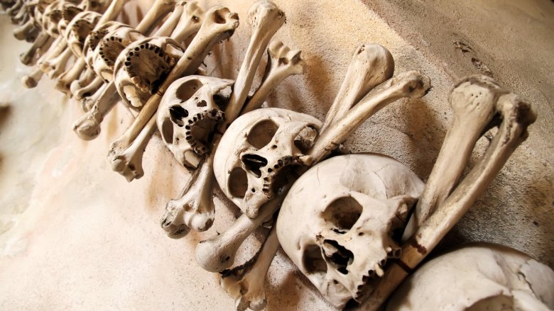 skulls and bones