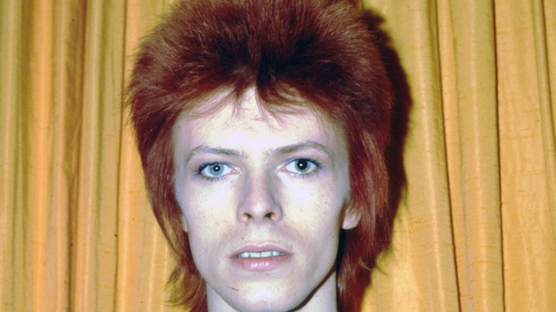 David Bowie as Ziggy Stardust