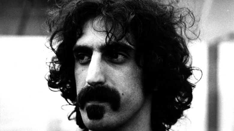 portrait of Frank Zappa
