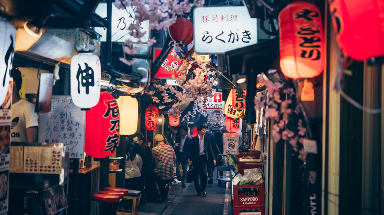 "Piss Alley," in Shinjuku