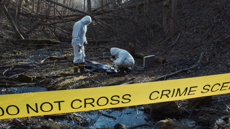 Forensic team in forest