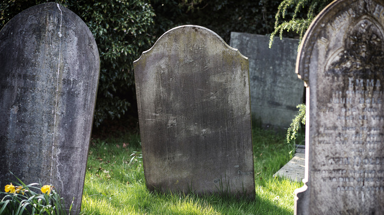 Decaying tombstones amongst bushes