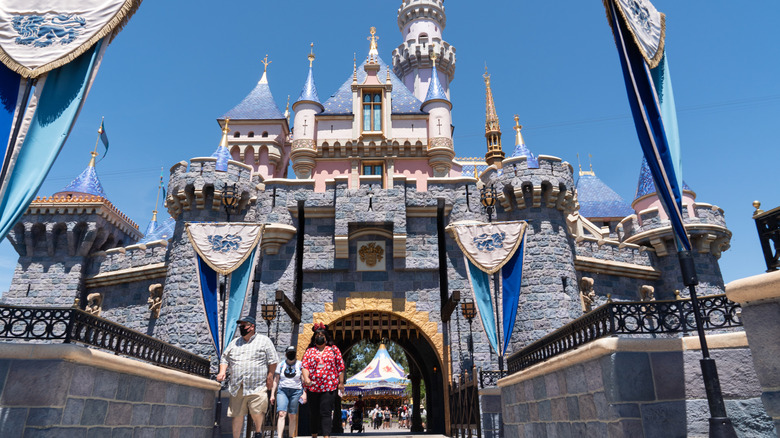 Disneyland castle