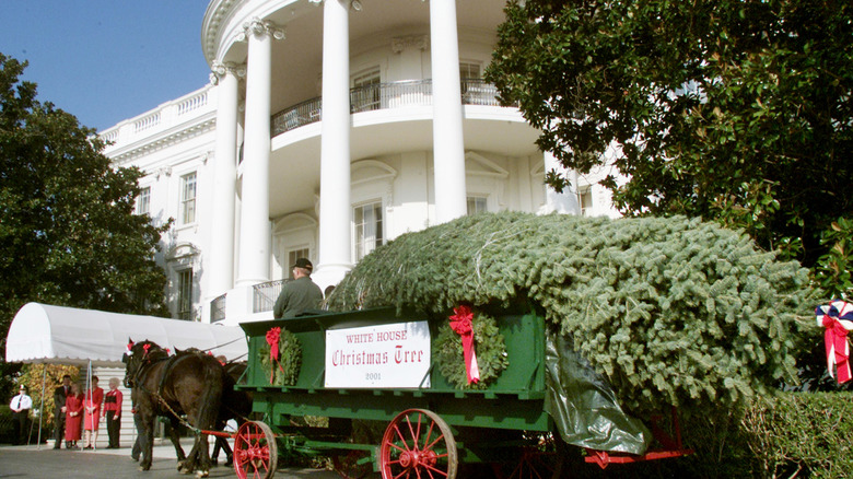 Delivering the White House Christmas tree