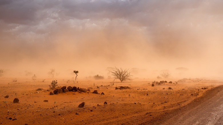 Lut desert in Iran