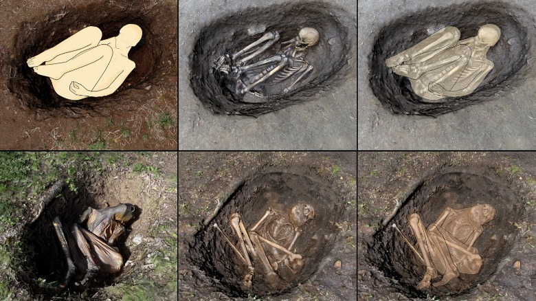 A fresh (top) and mummified body