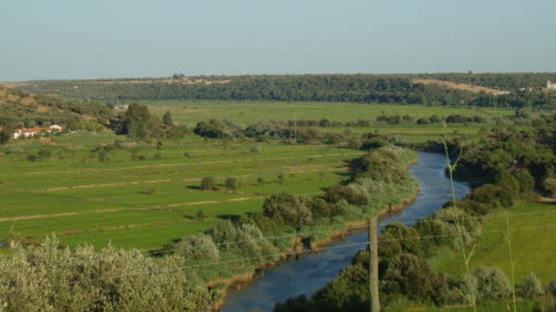 Sado Valley, Portugal