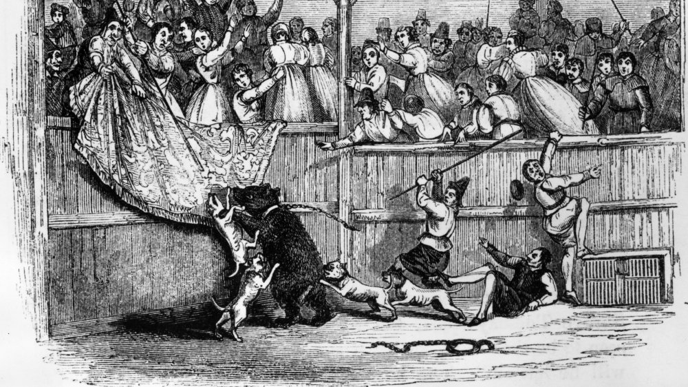 critter maulings