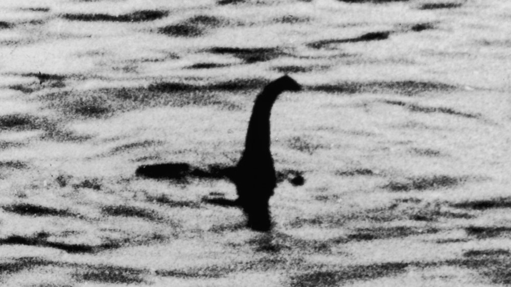 Nessie