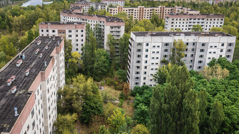 Chernobyl's exclusion zone