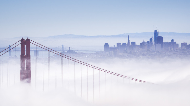 golden gate bridge fog