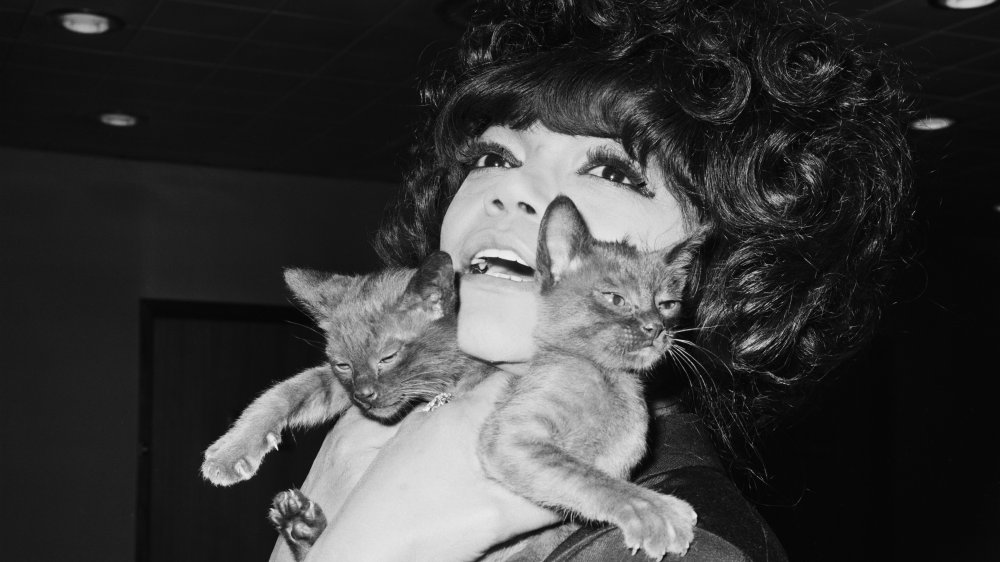 Eartha Kitt