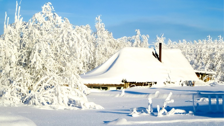 Hut and trees covered in snow