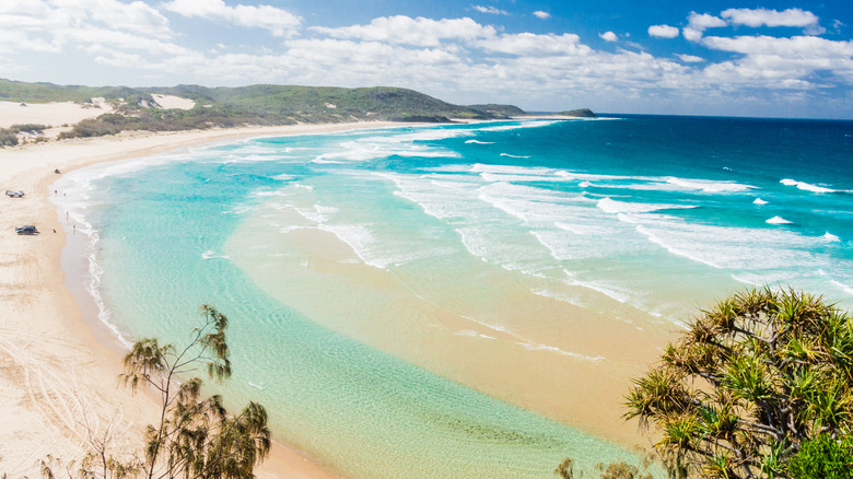 K'gari Island, Australia