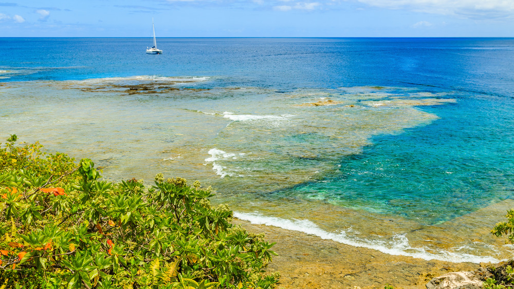 Coast of Niue