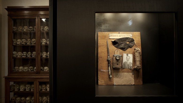 Museum of Criminal Anthropology display