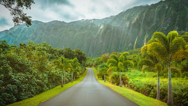 road to O'ahu island