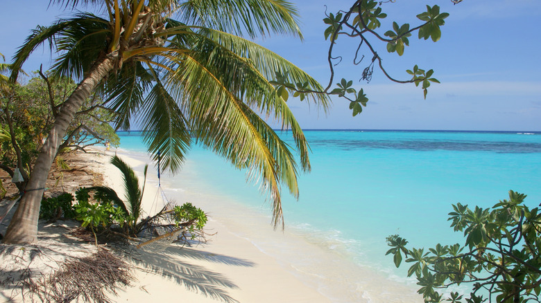 pacific island beach