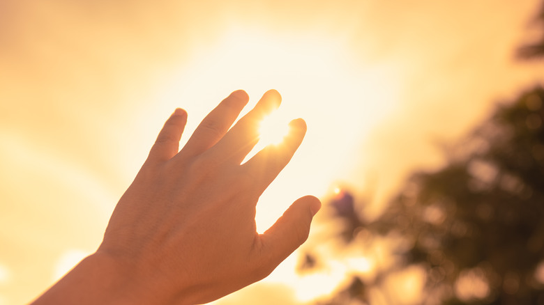 Person reaching for light