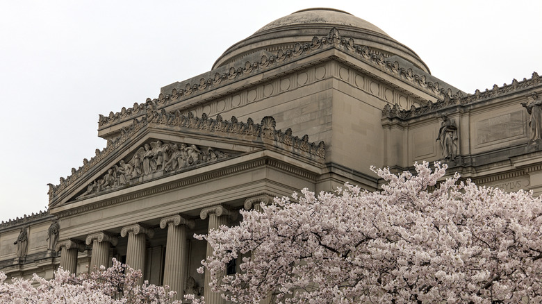Exterior of Brooklyn museum with cherry blossoms