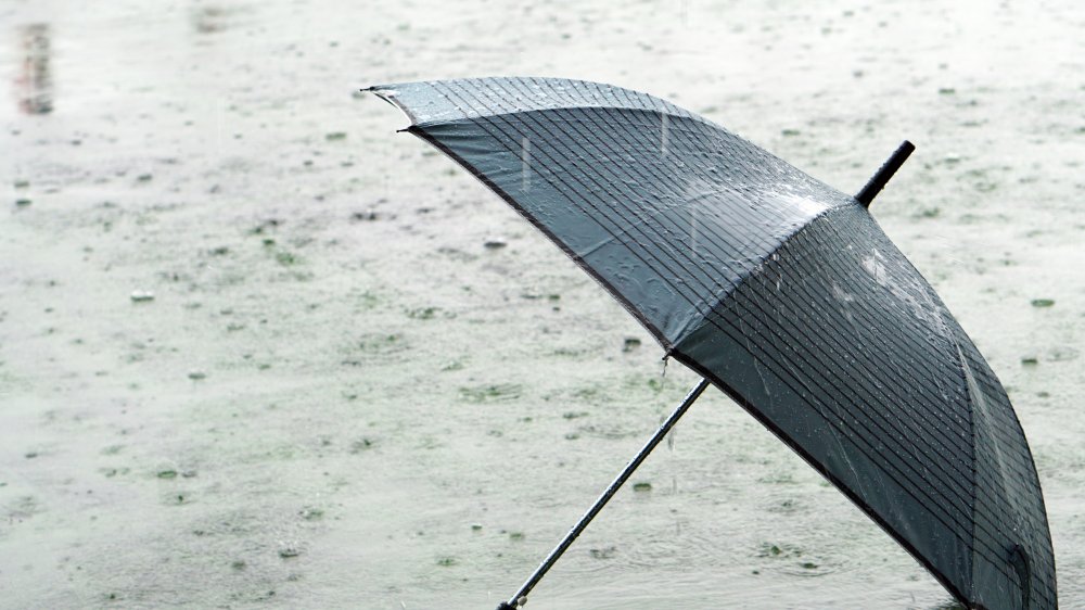 Umbrella in the rain