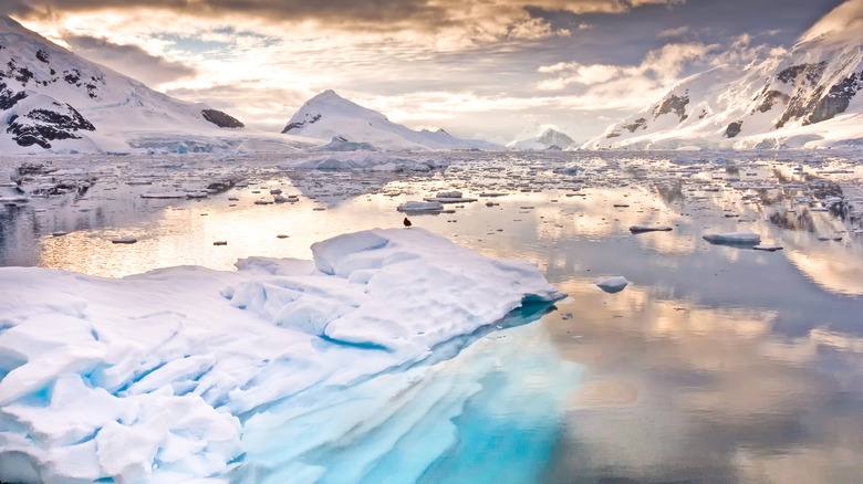 Antarctica and clouds