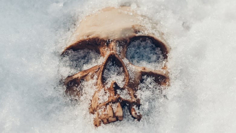 Skull in the snow