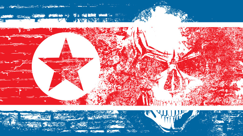 North Korean flag and skull