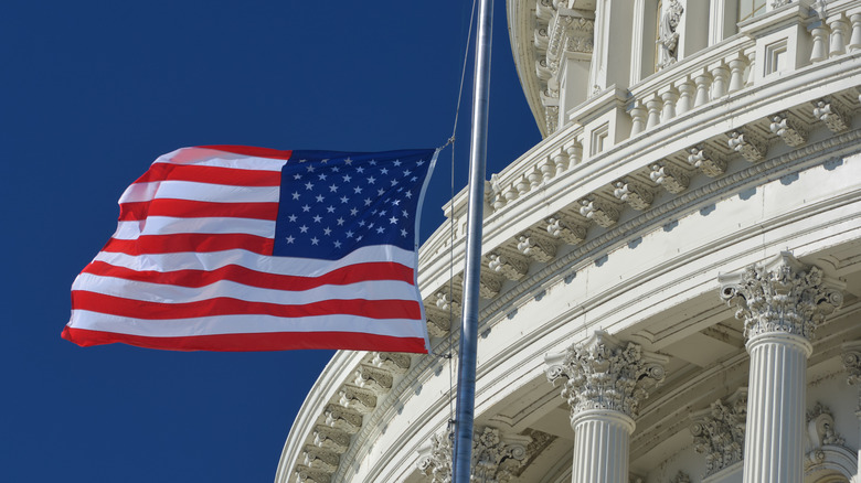 Flag in Washington D.C.