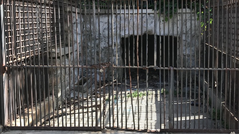 old empty zoo cage