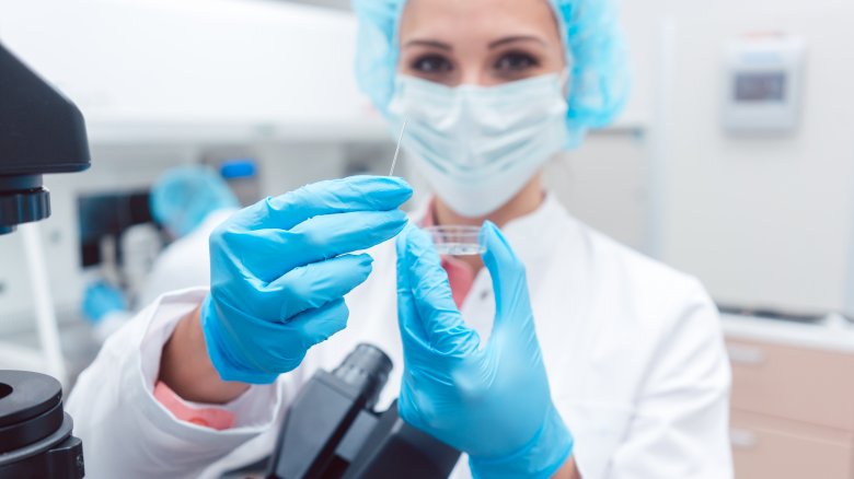 IVF