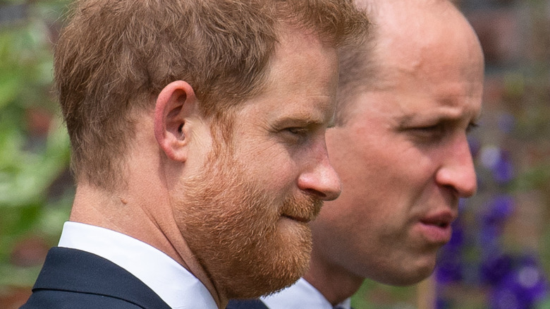 prince william and harry at an event kensington palace
