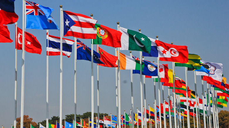 International flags flying