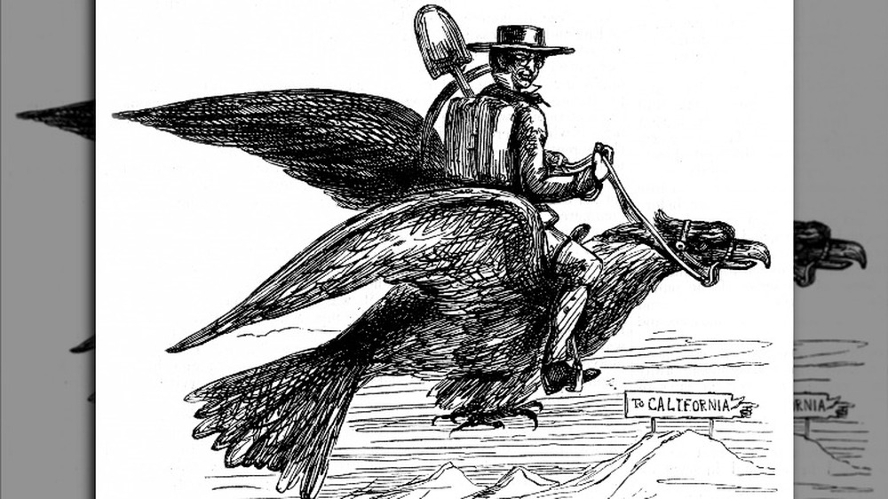 Gold Rush cartton