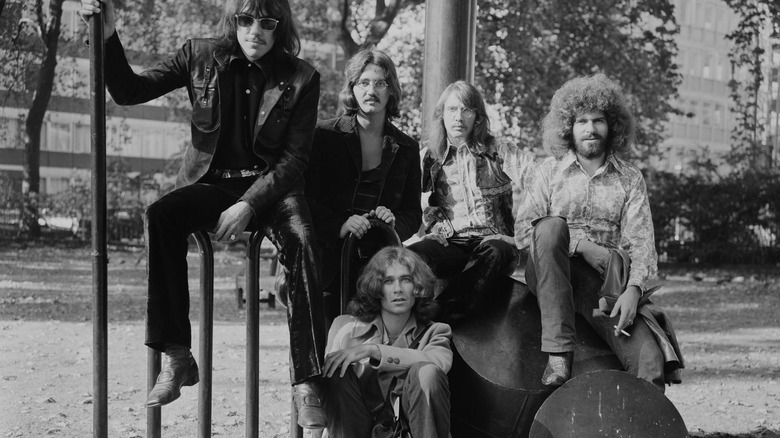 Steppenwolf sitting in a park