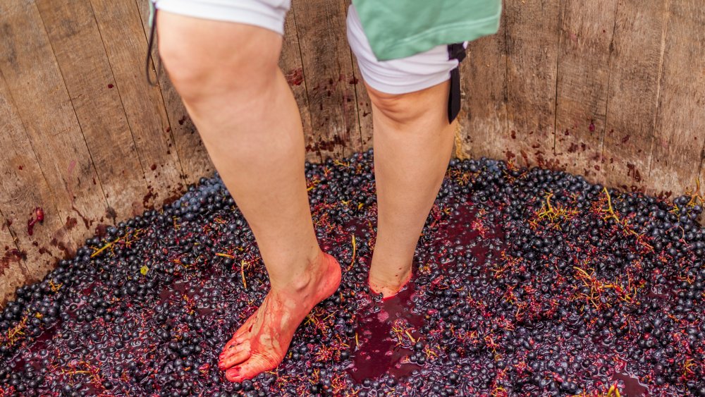 Stomping grapes