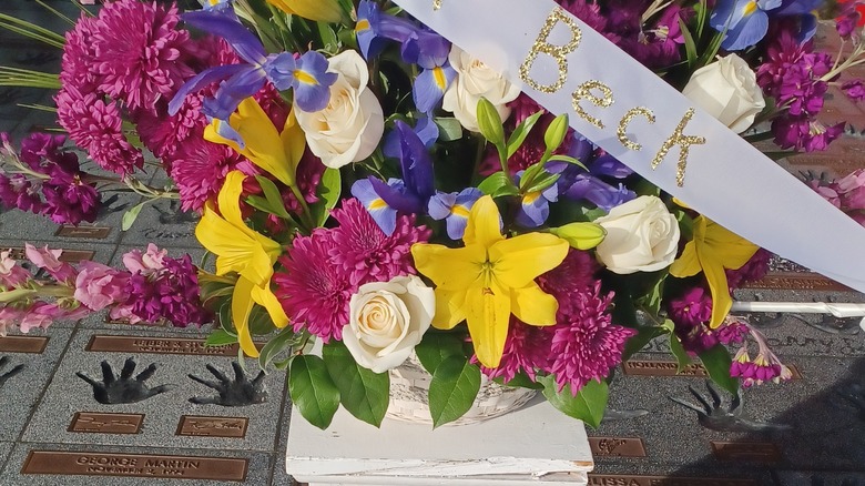 Flowers in remembrance of Jeff Beck