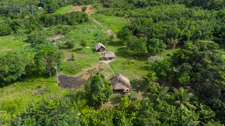 Aerial view of indigenous buildings in the Amazon
